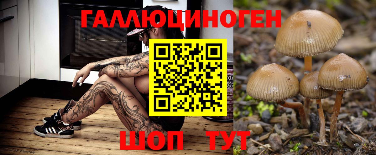 Галлюциногенные грибы Cubensis  Вход с VPN  Шарыпово 